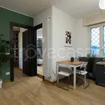 Rent 2 bedroom apartment of 45 m² in Roma