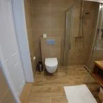 Rent 1 bedroom apartment of 33 m² in Prague