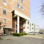 Rent 4 bedroom apartment of 120 m² in Kronehoef