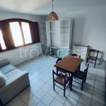 Rent 3 bedroom apartment of 70 m² in San Miniato