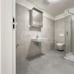 Rent 1 bedroom apartment in Brno