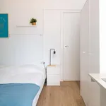 Rent a room in zaragoza