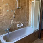 Rent 2 bedroom apartment of 58 m² in Bologna