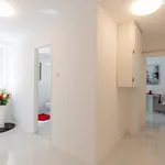 Pronájem bytu 2+1 52m²