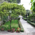 Rent 3 bedroom house of 100 m² in Nettuno