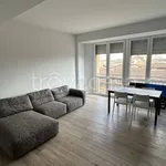 Rent 3 bedroom apartment of 85 m² in Pavia