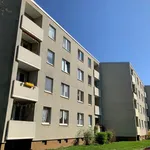 Rent 3 bedroom apartment of 66 m² in Krefeld