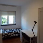 Rent 5 bedroom apartment in Oeiras