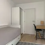 Rent a room in brussels