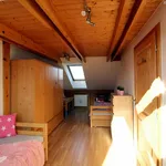 Rent 1 bedroom apartment in České Budějovice