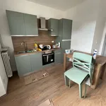 Rent 2 bedroom apartment of 40 m² in turin