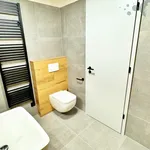 Rent 1 bedroom apartment of 46 m² in Šternberk