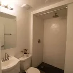 Rent 1 bedroom apartment in Pilsen