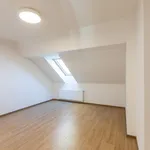 Pronajměte si 2 ložnic/e byt o rozloze 49 m² v karlin