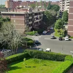 Rent 3 bedroom apartment of 100 m² in Roma