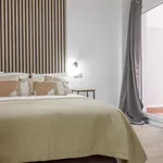 Rent 6 bedroom apartment in Valencia