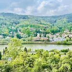 Rent 3 bedroom apartment of 100 m² in Heidelberg