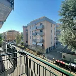 Rent 3 bedroom apartment of 80 m² in Novara