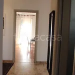 Rent 4 bedroom apartment of 125 m² in Torino