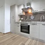 Rent 1 bedroom apartment in vicenza