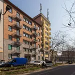 Rent 2 bedroom apartment of 70 m² in milan