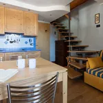 Rent 4 bedroom apartment of 44 m² in Santa Caterina