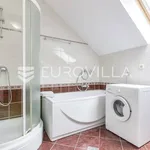 Rent 4 bedroom apartment of 170 m² in Zagreb