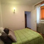 Via delle rose, Turin - Amsterdam Apartments for Rent