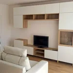 Rent 4 bedroom apartment of 78 m² in Poznan