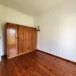 Rent 1 bedroom apartment in East London