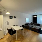 Rent 1 bedroom apartment of 50 m² in Prague