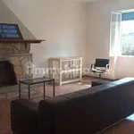 Rent 1 bedroom apartment of 30 m² in Roma