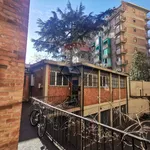 Rent 1 bedroom apartment of 35 m² in Torino