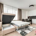 Pronajměte si 3 ložnic/e byt o rozloze 94 m² v Prague