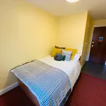 Rent 1 bedroom apartment in Bradford