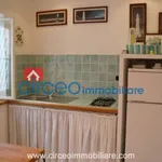 Rent 1 bedroom apartment of 30 m² in San Felice Circeo