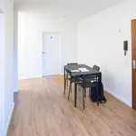 Rent 4 bedroom apartment in Dusseldorf