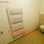 Rent 3 bedroom apartment of 73 m² in Ostrava