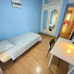 Rent a room in madrid