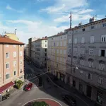 Rent 2 bedroom apartment of 60 m² in Triest