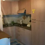 Rent 1 bedroom apartment of 37 m² in Melzo