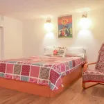 Rent 1 bedroom apartment in madrid