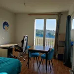 Appartement de 23 m² avec 1 chambre(s) en location à Rennes