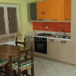 Rent 2 bedroom apartment of 60 m² in Frosinone