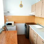 Rent 3 bedroom apartment of 51 m² in Staré Město pod Landštejnem