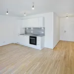 Rent 2 bedroom apartment of 52 m² in Vienna