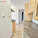 Pronajměte si 4 ložnic/e byt o rozloze 64 m² v Klášterec nad Ohří