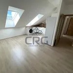 Rent 4 bedroom apartment in Brno venkov