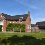 Rent 5 bedroom house in South East England