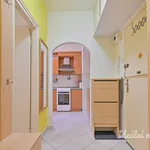 Rent 1 bedroom apartment of 38 m² in Brno